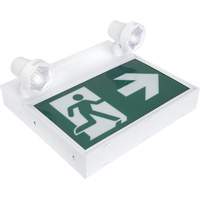 Running Man Sign with Security Lights, LED, Battery Operated/Hardwired, 12-1/10" L x 11" W, Pictogram XI790 | Dufferin Supply
