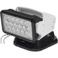 Projecteur orientable polyvalent &agrave; t&eacute;l&eacute;commande, DEL, 4250 lumens Dufferin Supply