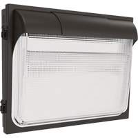 TWX3 Wall Luminaire, LED, 347 V, 14" H x 18" W x 5" D XI971 | Dufferin Supply
