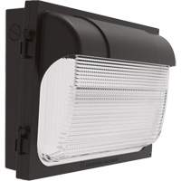 TWX Wall Luminaire, LED, 480 V, 9 W - 54 W, 14" H x 18" W x 5" D XI974 | Dufferin Supply
