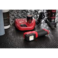 M12™ Paint and Detailing Color Match Light, LED, 1000 Lumens XJ023 | Dufferin Supply