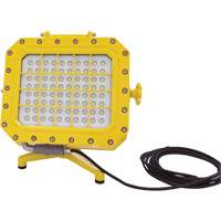 Explosion Proof Floodlight with Floor Stand, LED, 40 W, 5600 Lumens, Aluminum Housing XJ043 | Dufferin Supply