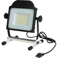 Floodlight, LED, 100 W, 10000 Lumens XJ197 | Dufferin Supply