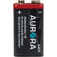 Industrial Alkaline Batteries, 9 V XJ222 | Dufferin Supply