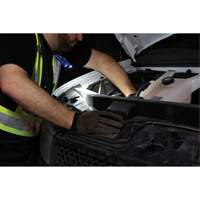 Lampe de travail, Lampe tour de cou, Rechargeable, 300 lumens Dufferin Supply