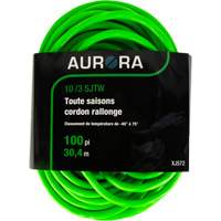 Cordon rallonge de calibre industriel, Toutes saisons, SJTW, AWG 10/3, 15 A, 100' Dufferin Supply