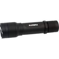 IP67 Flashlight, LED, 2000 Lumens, Rechargeable Batteries Dufferin Supply