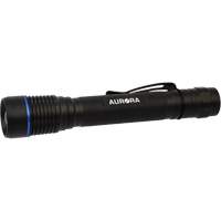 IPX7 Flashlight, LED, 250 Lumens, AA Batteries Dufferin Supply