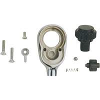 Ratchet Repair Kit Dufferin Supply