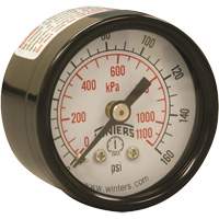 Manomètre économique,  1-1/2", 0 - 160 psi, Fixation arrière, Analogique YB873 | Dufferin Supply